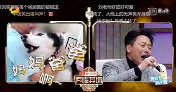 刘奕君直播爆料视频合集,精彩爆料视频合集回顾