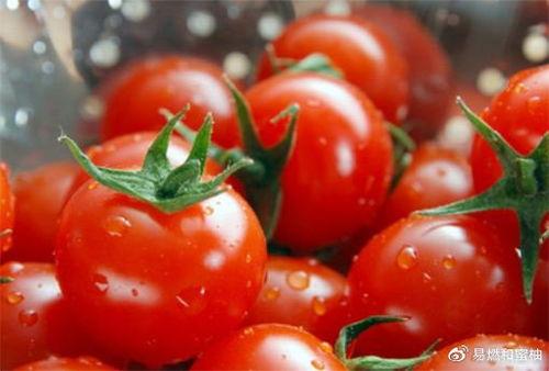 番茄娱乐圈吃瓜读心,吃瓜读心，揭秘明星幕后真相